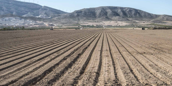 Estudios Edafológicos para la agricultura