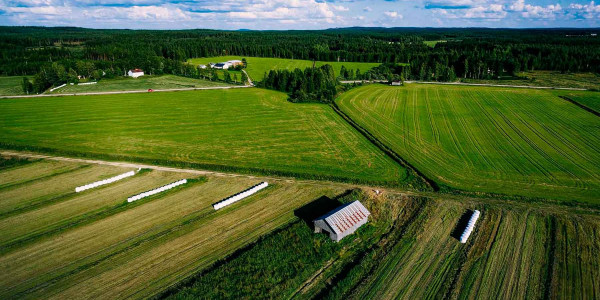 Estudios de suelos agrícolas