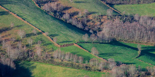 Estudios de Terrenos agrícolas