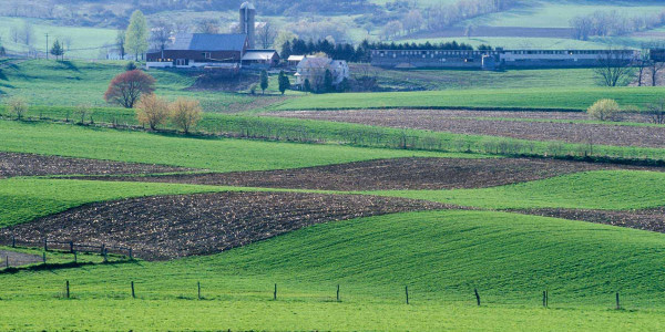 Estudios de Terrenos para agricultura